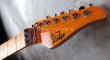 画像3: Suhr Standard Trans Honey Amber H-S-H　 (3)