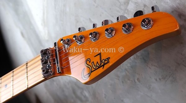 画像3: Suhr Standard Trans Honey Amber H-S-H  (3)