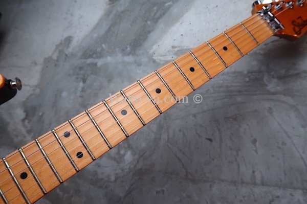 画像4: Suhr Standard Trans Honey Amber H-S-H  (4)