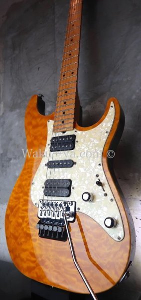 画像5: Suhr Standard Trans Honey Amber H-S-H  (5)