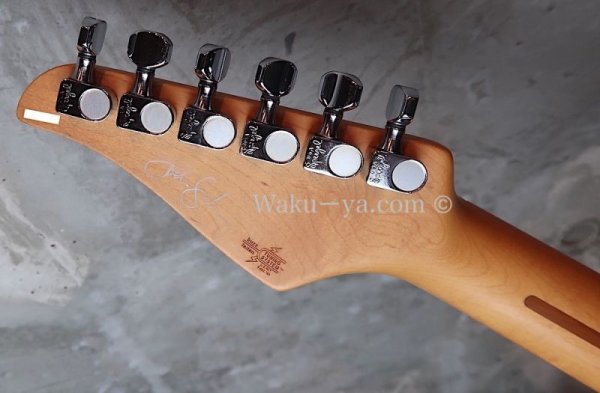 画像7: Suhr Standard Trans Honey Amber H-S-H  (7)