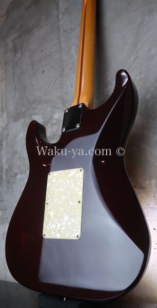 画像6: Suhr Standard Trans Honey Amber H-S-H  (6)