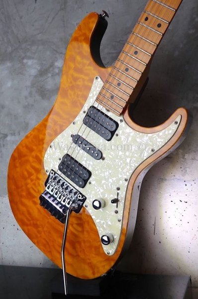 画像9: Suhr Standard Trans Honey Amber H-S-H  (9)