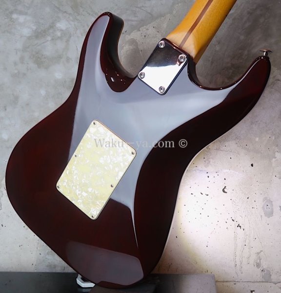 画像12: Suhr Standard Trans Honey Amber H-S-H  (12)