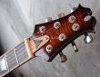 画像3:  David Thomas McNaught Vintage Single Cut /  Diamond Flame Antique Burst   (3)