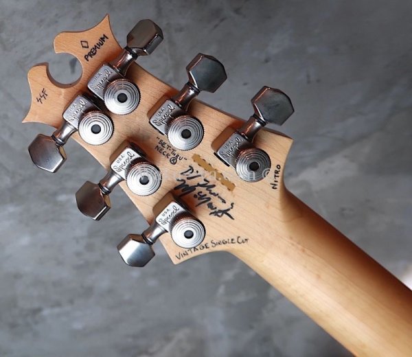 画像7: David Thomas McNaught Vintage Single Cut Light Tigers Eye Burst (Premium Diamond Flame)  (7)