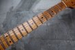 画像4: Fender Custom Shop LTD ''El Diablo'' Stratocaster / Heavy Relic / Sunburst (4)