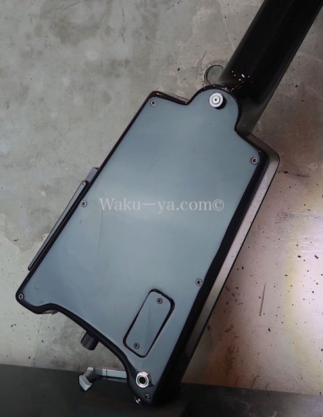 画像12: Steinberger GL-7TA / Black (12)