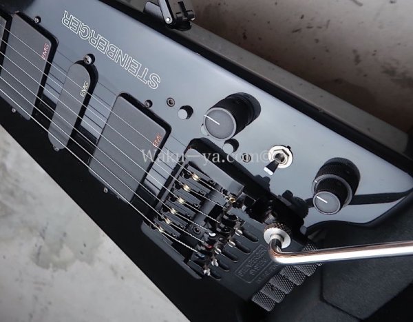 画像11: Steinberger GL-7TA / Black (11)