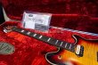 画像14: EVH Wolfgang  Flamed Maple Top 3-tone  Sunburst (14)