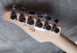 画像7: Tom Anderson Angel "KOA" /  Honey Shaded Edge with Binding  (7)