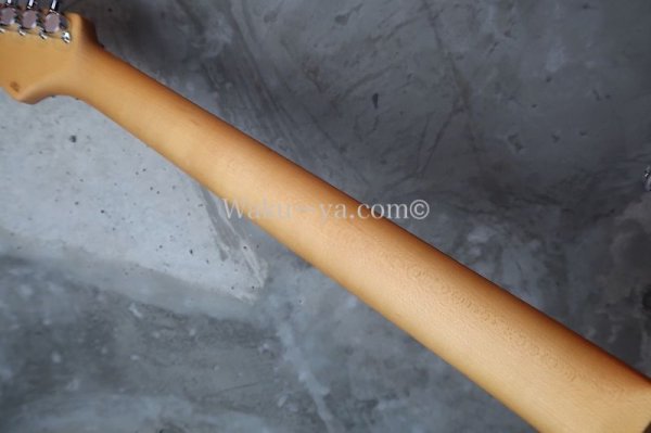 画像8: Suhr Standard Bengal Burst w/ Binding (8)