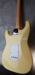 画像6:  Fender USA CustomShop Yngwie Malmsteen Stratocaster Vintage White / NOS (6)