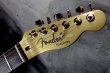 画像2: Fender Telecaster "Goldy"  / John5  mod  (2)