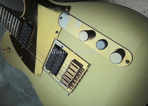 画像6: Fender Telecaster "Goldy"  / John5  mod  (6)