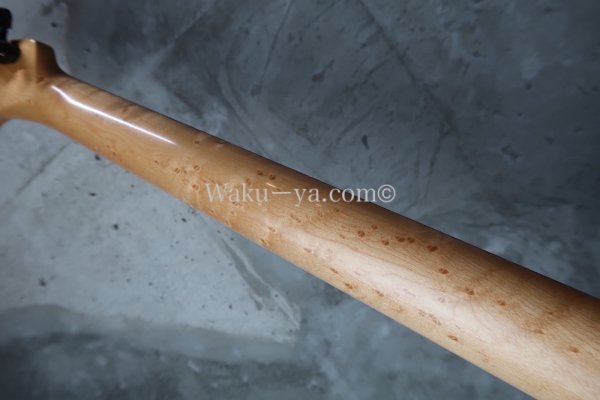 画像9: RS Guitarworks Old Friend Contour Hot Rod (Elite) / Ocean Burst   (9)