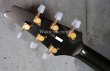 画像8: Ibanez PS-10 LTD  Paul Stanley Model  /  Pearl Black (8)