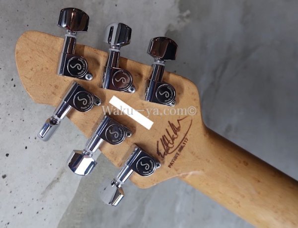 画像7: Peavey Wolfgang Standard Custom Shop 1'st / Build by John Douglas (7)