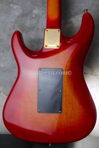 画像12:  Valley Arts Custom Pro USA '90 / 1Piece Flame Maple / Fire burst  (12)