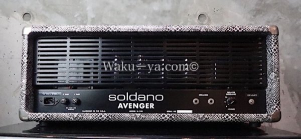 画像2:  Soldano / 100W Avenger Snake Skin  (2)