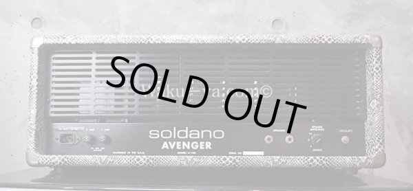 画像2:  Soldano / 100W Avenger Snake Skin  (2)