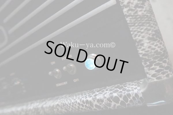 画像6:  Soldano / 100W Avenger Snake Skin  (6)