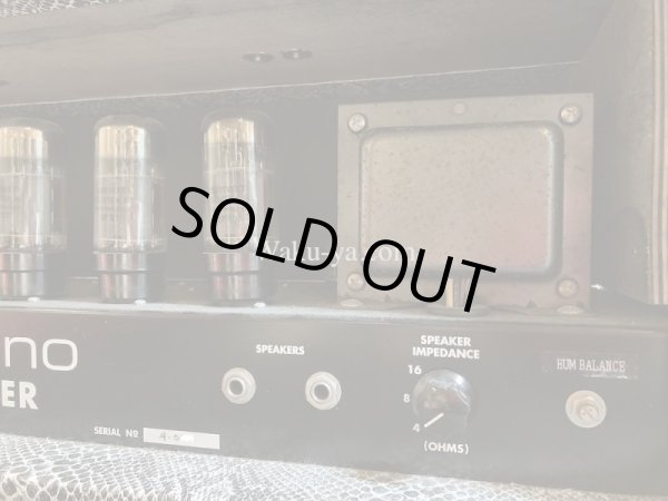 画像8:  Soldano / 100W Avenger Snake Skin  (8)