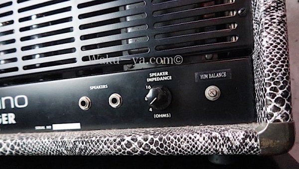 画像5:  Soldano / 100W Avenger Snake Skin  (5)