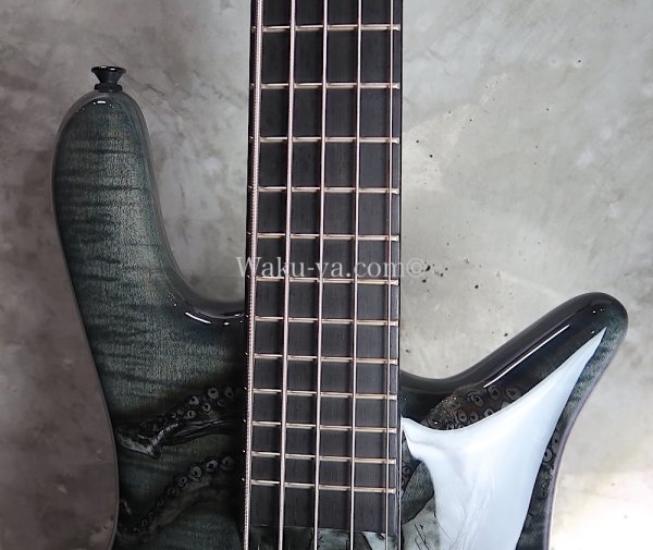 画像10: Spector Euro5 LE Limited Edition Kraken Squid (10)