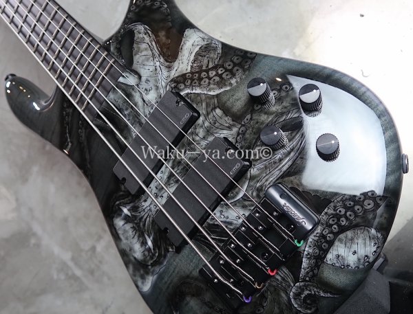 画像11: Spector Euro5 LE Limited Edition Kraken Squid (11)