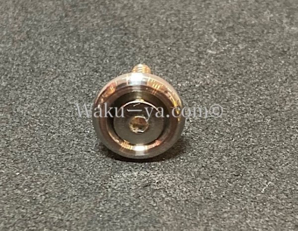 画像4: Steinberger GL / GM / GR 用 Strap End Pin Set (4)