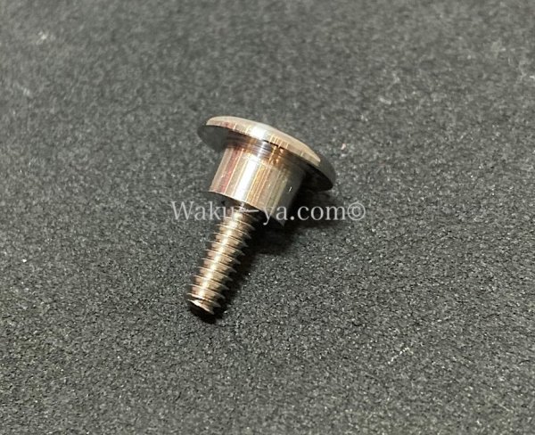 画像5: Steinberger GL / GM / GR 用 Strap End Pin Set (5)