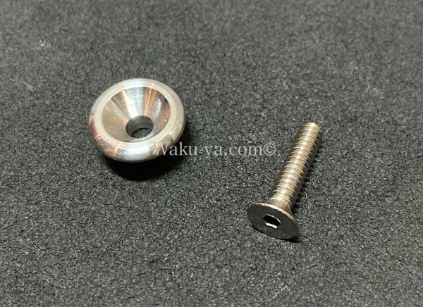 画像3: Steinberger GL / GM / GR 用 Strap End Pin Set (3)