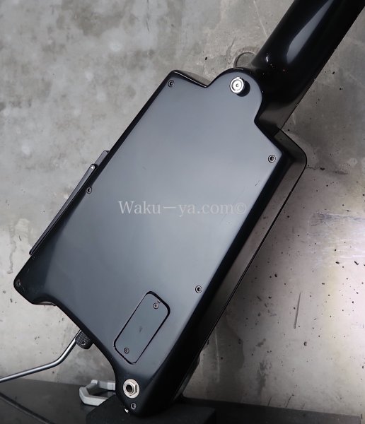 画像13: Steinberger GL-2TA '91 / Black (13)