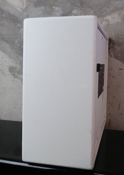 画像6: Fender Mustang I / V2 / White (6)