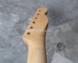 画像5: Warmoth Telecaster®  Maple Neck  22 Frets  /  Left Handed (5)