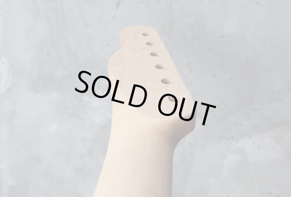 画像5: Warmoth Maple Neck 22F /  Indian Rosewood / Vintage Moderen Telecaster®️ (5)