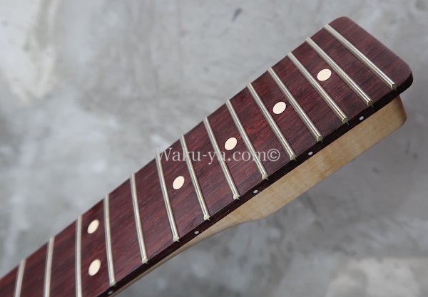 画像16: Warmoth Maple Neck 22F /  Indian Rosewood / Vintage Moderen Telecaster®️ (16)