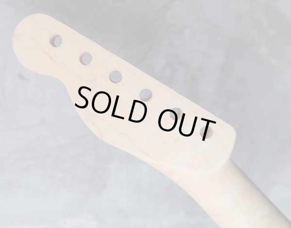 画像7: Warmoth Maple Neck 22F /  Indian Rosewood / Vintage Moderen Telecaster®️ (7)