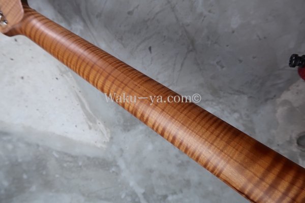 画像8: Charvel Custom Shop /San Dimas H-S-H  Reverse head / Cherry Sunburst (8)