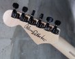 画像7: ♫即納可能☆ Charvel USA Custom Shop Warren De Martini/  Signature / SnakeSkin Graphic　(1) (7)