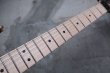 画像4: ♫即納可能☆ Charvel USA Custom Shop Warren De Martini/  Signature / SnakeSkin Graphic　(1) (4)