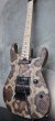 画像5: ♫即納可能☆ Charvel USA Custom Shop Warren De Martini/  Signature / SnakeSkin Graphic　(1) (5)