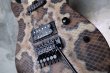 画像11: ♫即納可能☆ Charvel USA Custom Shop Warren De Martini/  Signature / SnakeSkin Graphic　(1) (11)