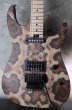 画像1: ♫即納可能☆ Charvel USA Custom Shop Warren De Martini/  Signature / SnakeSkin Graphic　(1) (1)