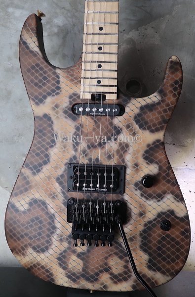 画像1: ♫即納可能☆ Charvel USA Custom Shop Warren De Martini/  Signature / SnakeSkin Graphic　(1) (1)