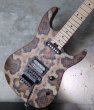 画像13: ♫即納可能☆ Charvel USA Custom Shop Warren De Martini/  Signature / SnakeSkin Graphic　(1) (13)