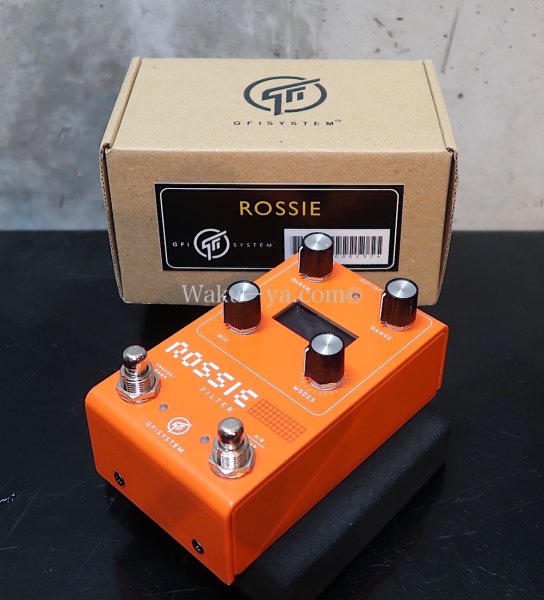 画像2: GFI system / ROSSIE  FILTER (2)
