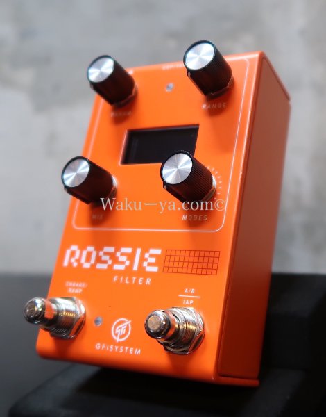画像7: GFI system / ROSSIE  FILTER (7)