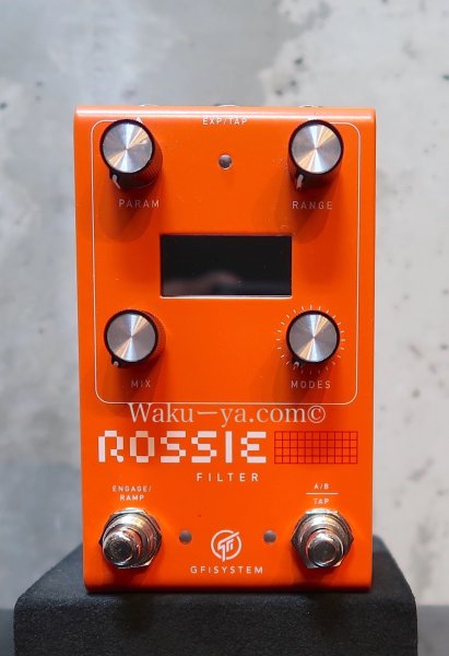 画像9: GFI system / ROSSIE  FILTER (9)